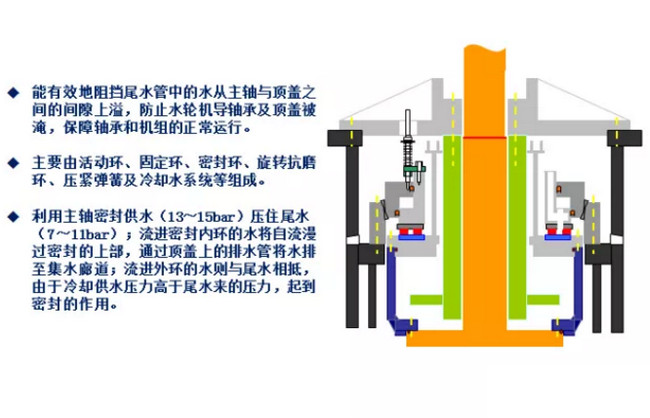 抽蓄径向与轴向主轴密封选择分析